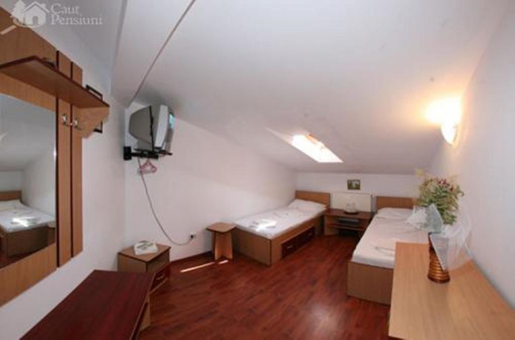 Pensiunea Ramona Tulcea Ruang foto