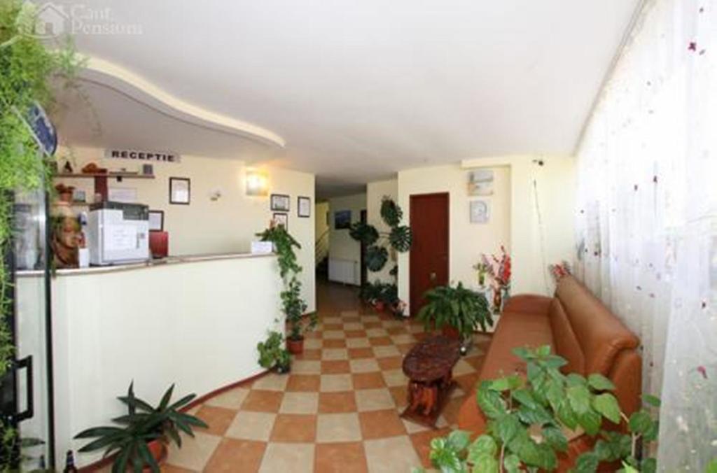 Pensiunea Ramona Tulcea Ruang foto